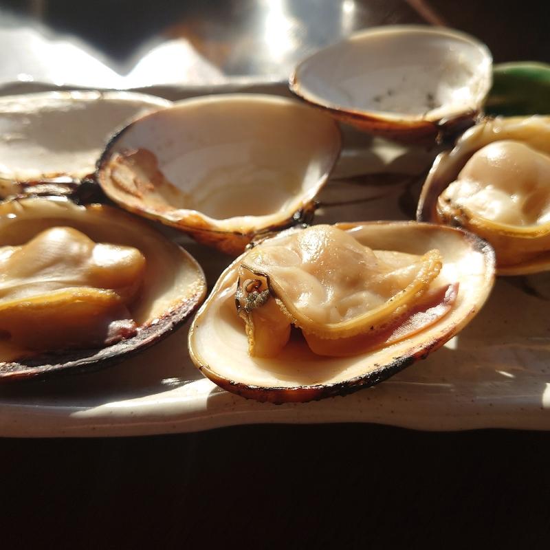 焼きハマグリ(魚見亭)