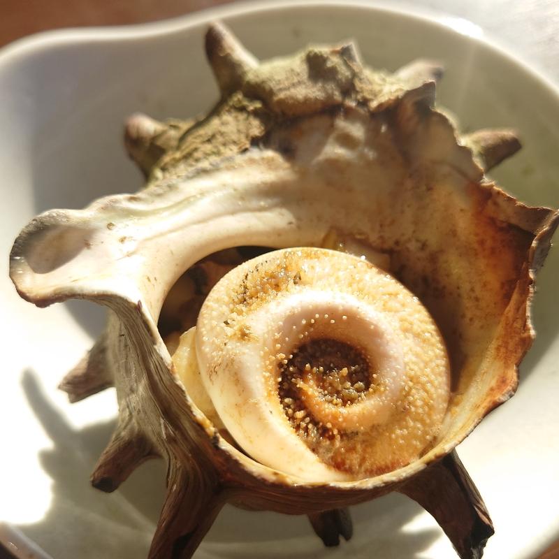 さざえの壺焼き(魚見亭)