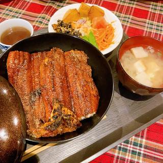 うなぎ丼(ステーキ・ドン)