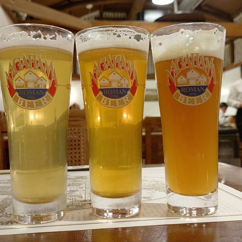 クラフトビール(長濱浪漫ビール （長浜浪漫ビール ナガハマロマンビール）)