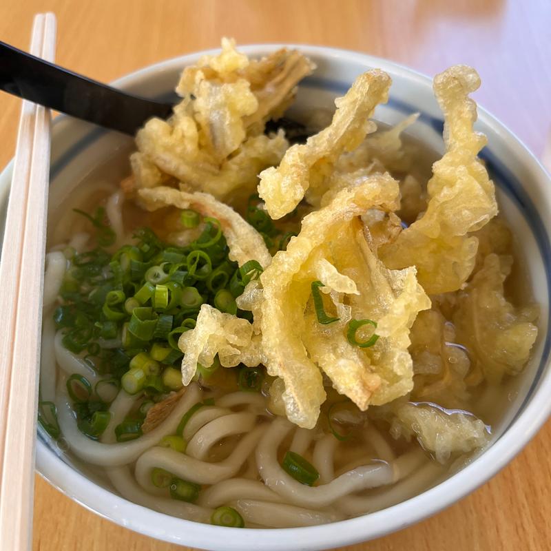ごぼう天うどん(素うどん 華ちゃん)