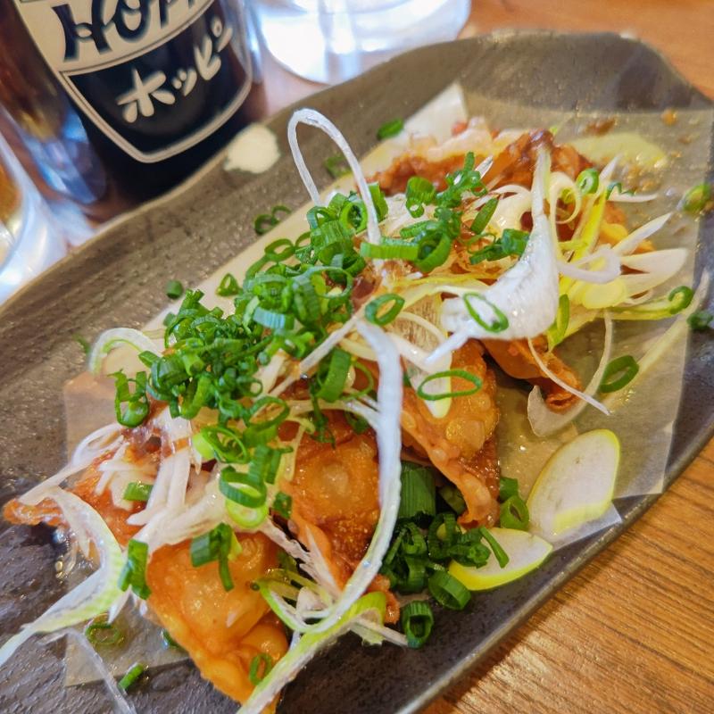 パリパリ餃子(大船一丁目やきとん)