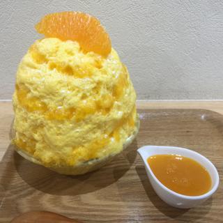 オレンジレアチーズ(雪菓 （セッカ）)