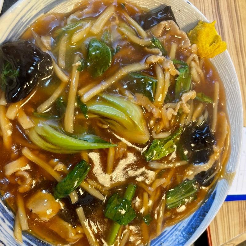 あんかけ肉焼きそば(宝龍)