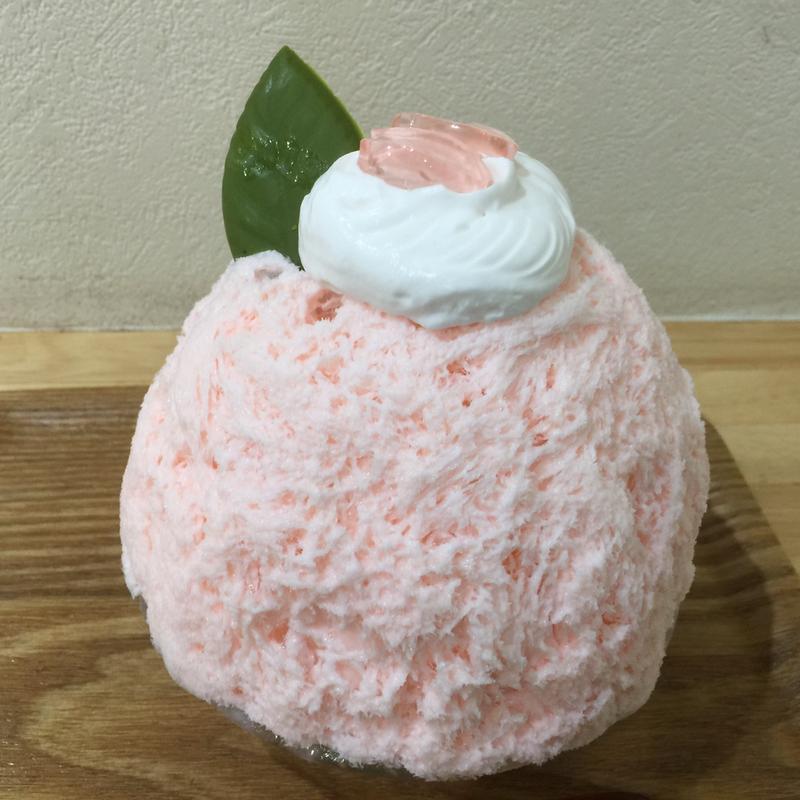 SAKURA (雪菓 （セッカ）)