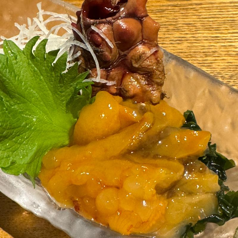 三陸産　殻ホヤ刺(ごち )