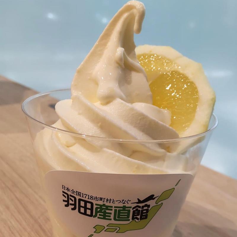 日向夏ソフトクリーム(Edo食賓館 (時代館))