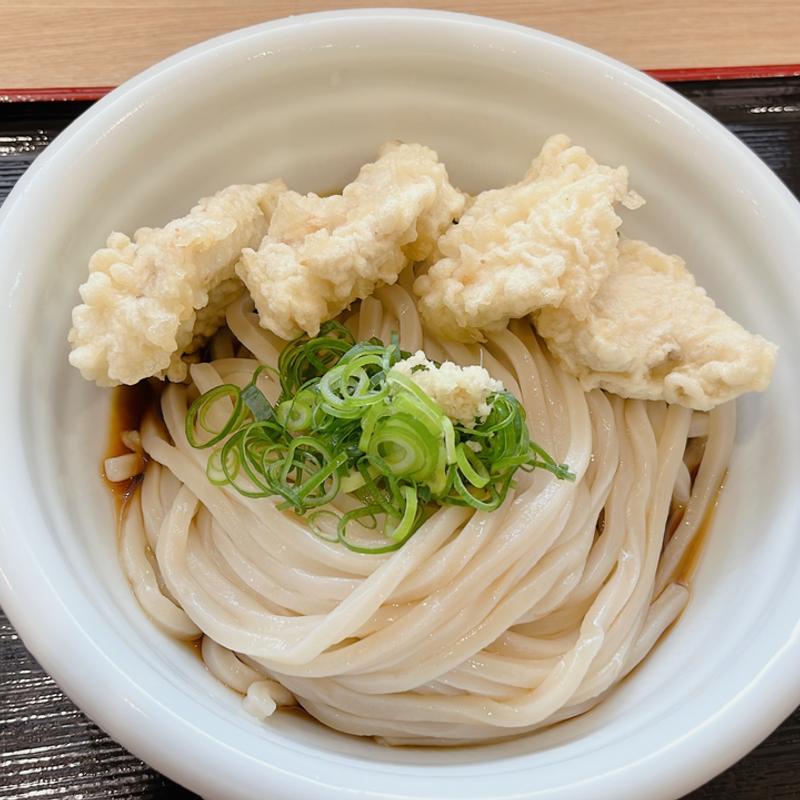 鶏天4ぶっかけうどん　温　大盛り(ウドンゴヤ)