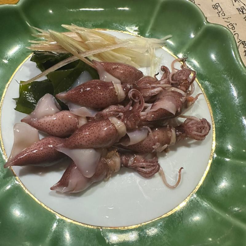 ちいちいイカ(栩木)