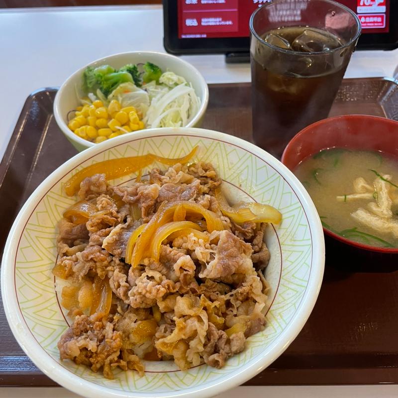 (すき家 住吉長居公園通店 )