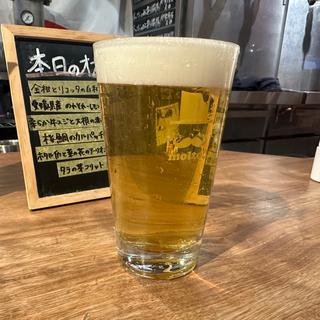MOON(うちゅうブルーイング)(BEER STAND molto!! 阪急三番街店)