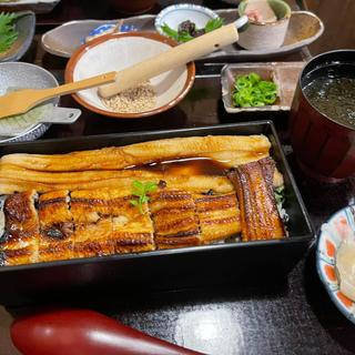 箱めし ならび (2本)(あなご屋 銀座 ひらい)