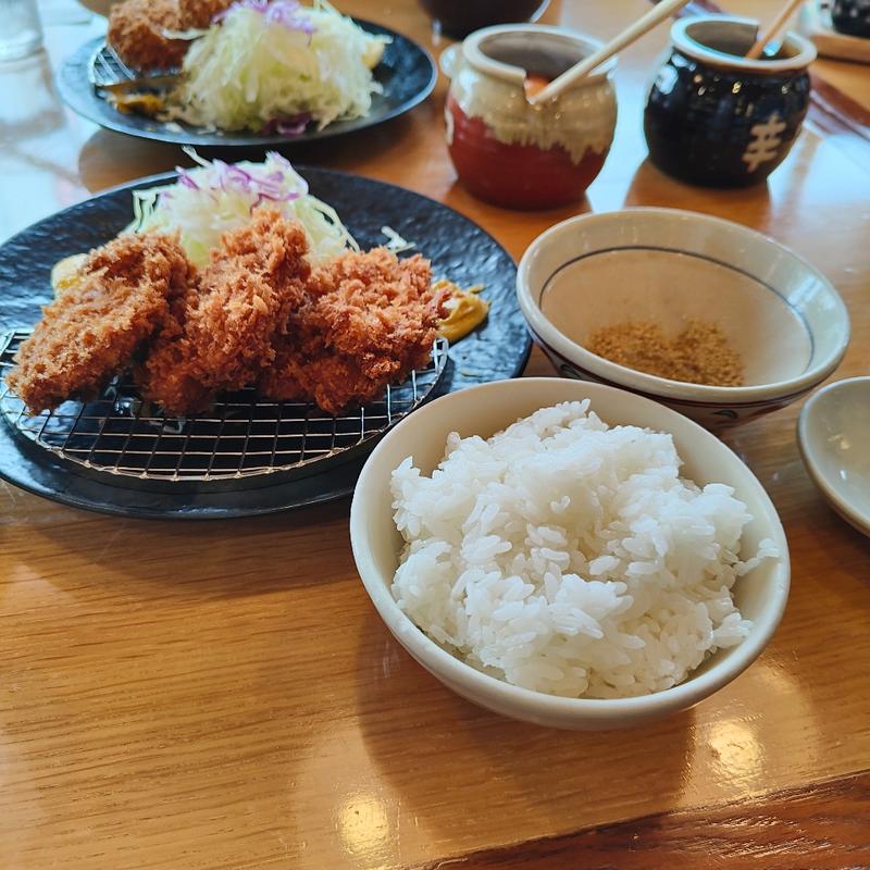 熟成ひれかつ定食(とんかつ玉藤 南郷店)