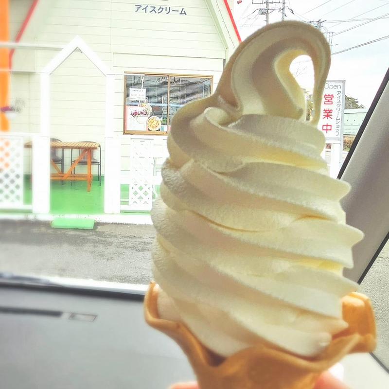ソフトクリーム(新生酪農千葉工場アイスクリームショップ )
