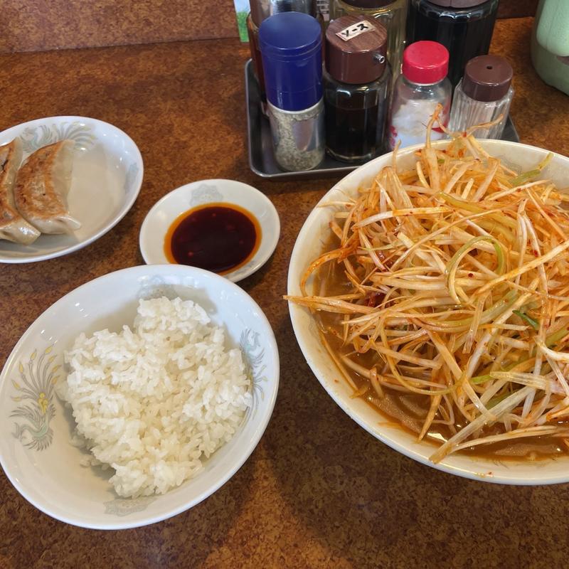 ネギ味噌ラーメン、半ライス(珍来総本店 八潮ドライブイン店)