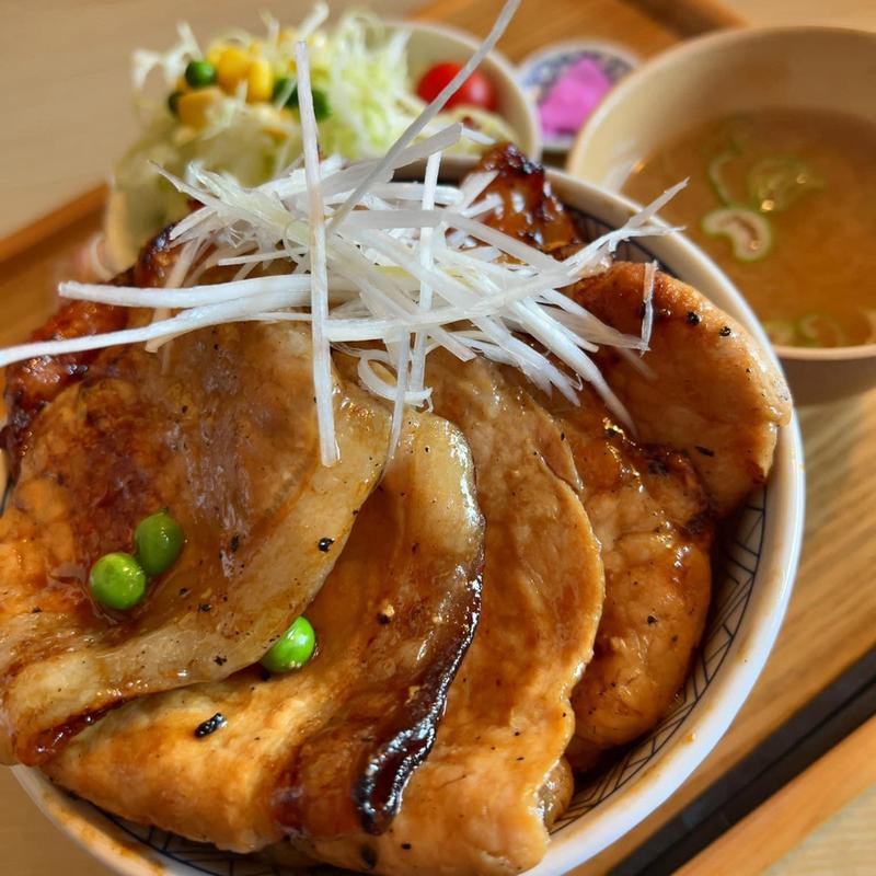 ハーフ&ハーフ特盛(元祖豚丼屋 TONTON 鶴賀店)