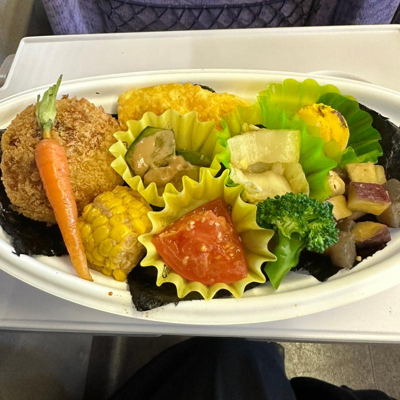 肉じゃがコロッケ弁当(AGRI （アグリ）)