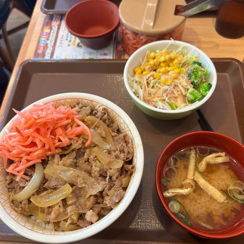 牛丼特盛　サラダセット(すき家 台東下谷店 )