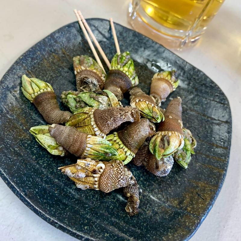 亀の手(サザンビーチ ポセイドン茅ヶ崎)