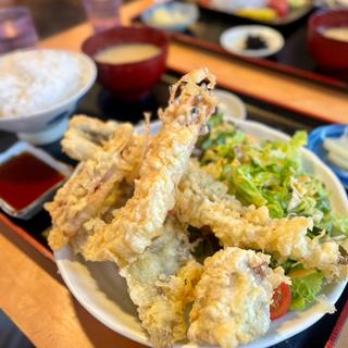 魚の天ぷら定食(イルカ)