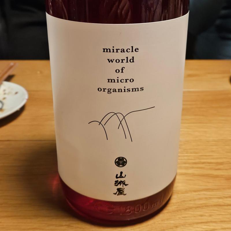 新潟「山城屋 matured -円熟- 」(居酒屋 ひでじろう)