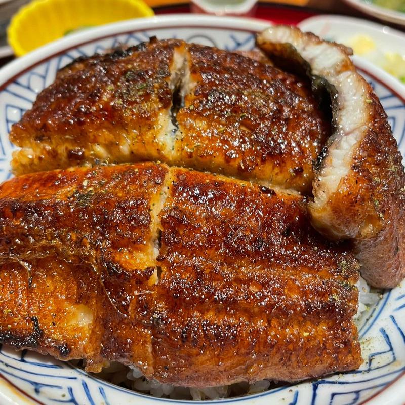 上うなぎ丼(うな富士 有楽町店)