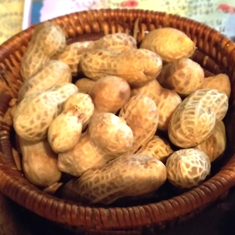 茹で落花生(Makan （マカン）)