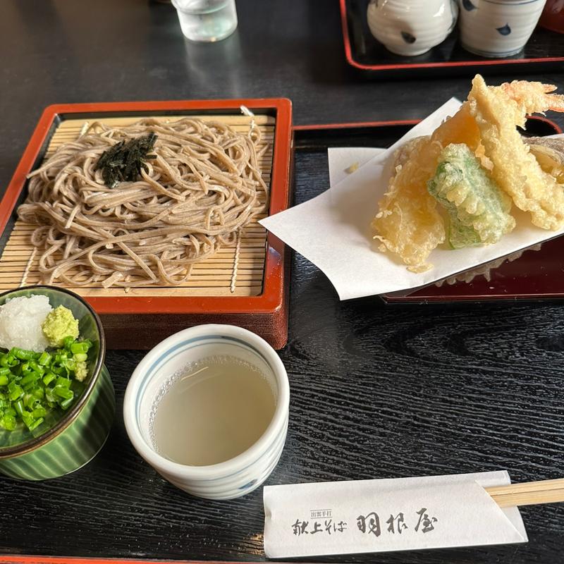 天ぷらせいろ(羽根屋 大津店 （ハネヤ）)