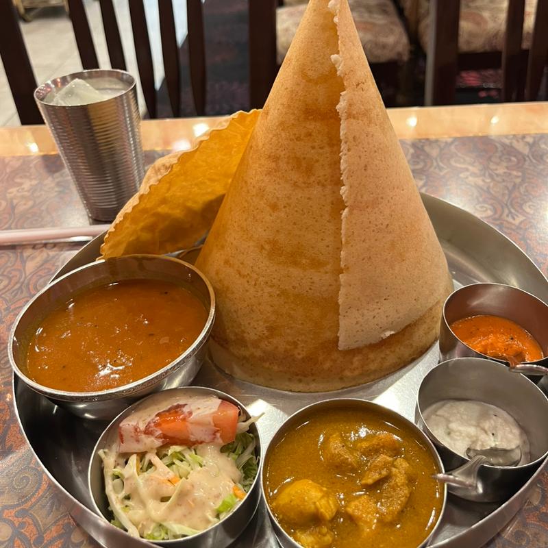 南インドディナー(チャトパタ 上本町ハイハイタウン店)