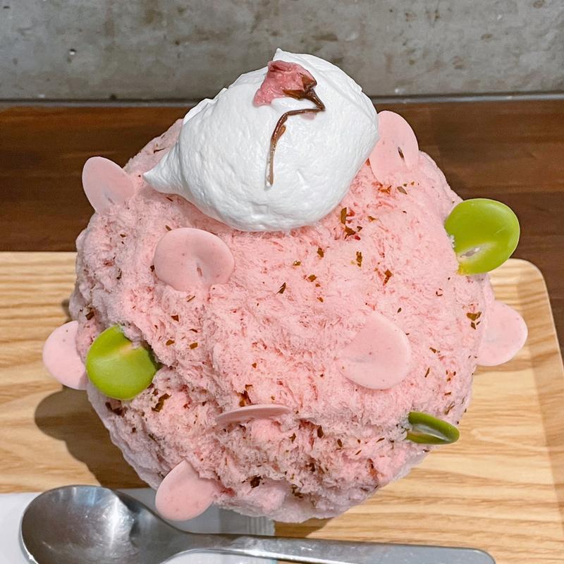 桜咲いチャイました(氷屋ぴぃす )