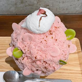 桜咲いチャイました(氷屋ぴぃす )