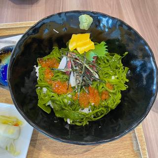 海鮮めかぶ丼(UMICOCO （ウミココ）)