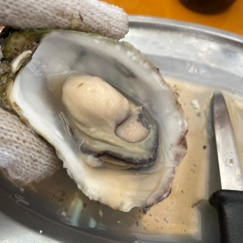 (焼きガキの孝志丸 かきっこ )