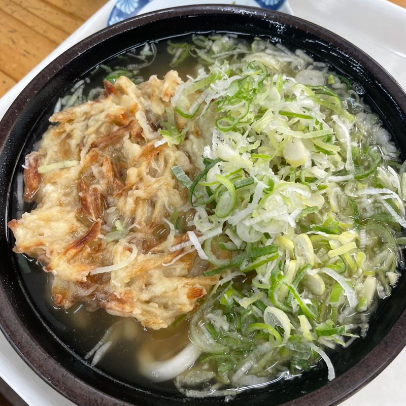 ごぼう天うどん(きっちょううどん 橘通店)