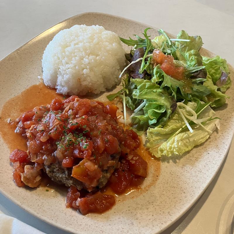 ハンバーグプレート(ダップルバックカフェ （dappleback cafe）)