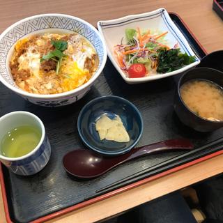 ヒレカツ丼 サラダ＆味噌汁セット(毛呂山 夢庵)