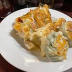 餃子盛り合わせ(餃子専門店 藤井屋)