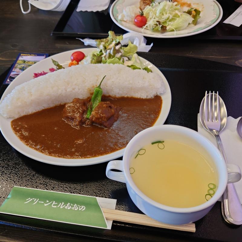ダムカレー(レストラン グリーンヒルおおの)