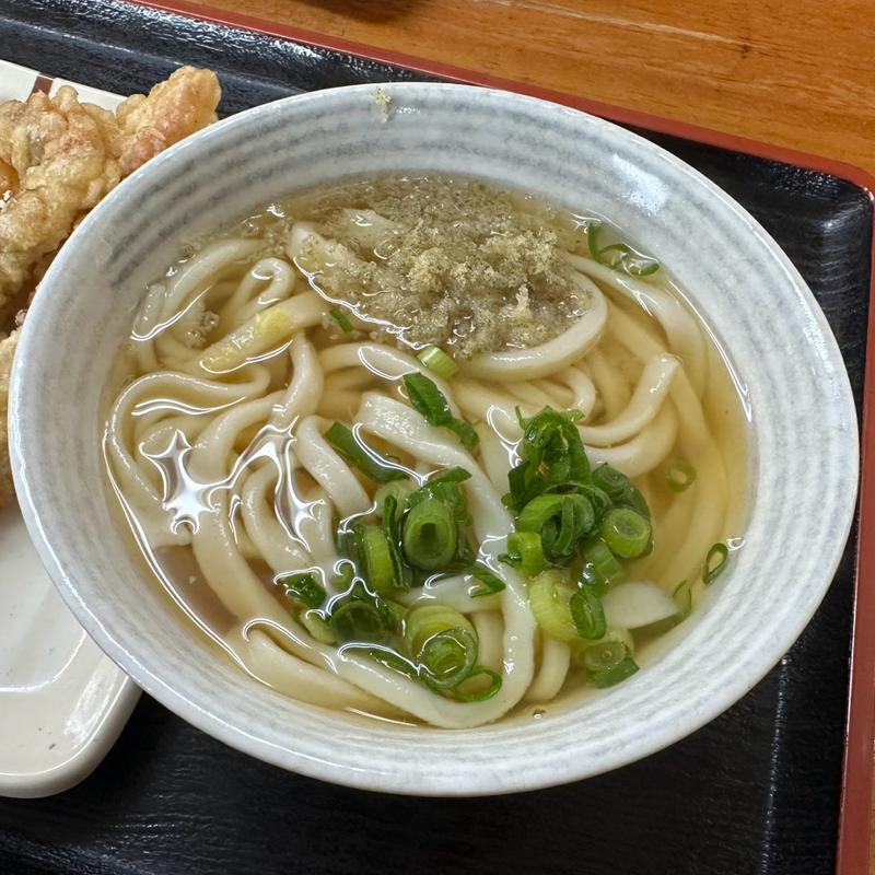 かけうどん(純手打うどん よしや )