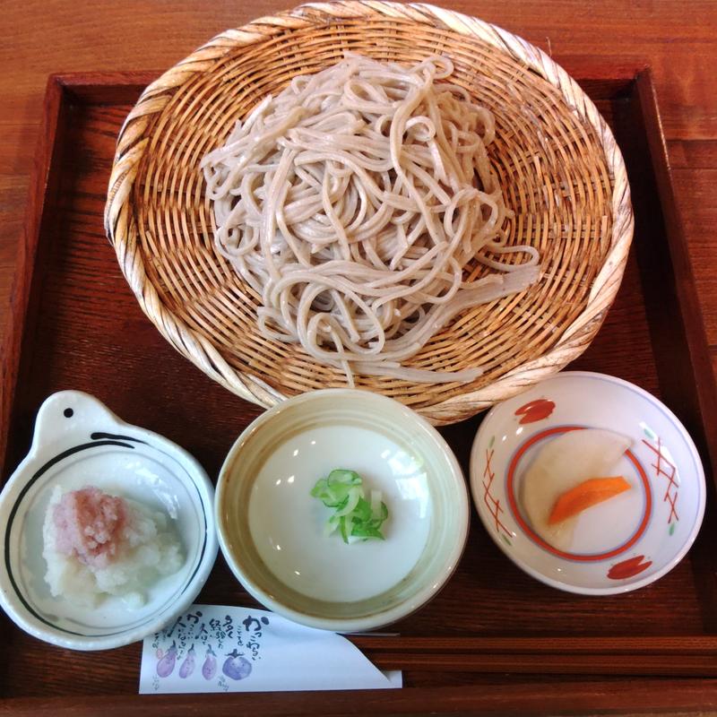 辛味大根もり(なめとこ山庵 )