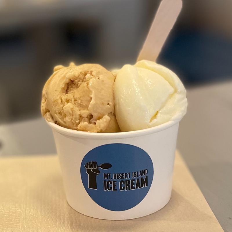 篠ノ井ネクタリンと信州スウィートクリーム(マウント デザート アイランド アイスクリーム 松本)
