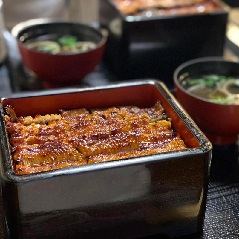 新仔鰻(鰻むさし乃)