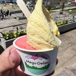 (Megu Gelato メグジェラート)