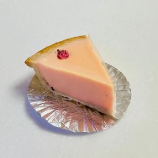 季節のチーズケーキ　桜