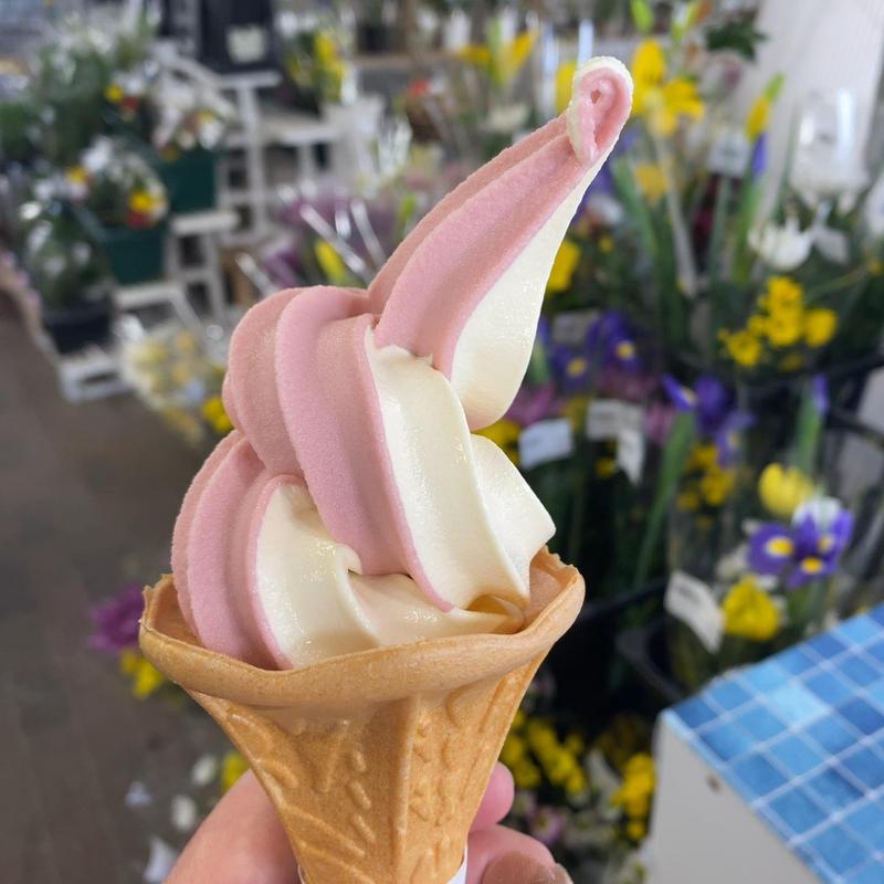 あまおう 塩バニラ ミックス(道の駅みつ 魚菜屋)