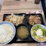 牛皿、豚ロース生姜定食　ポテトサラダ