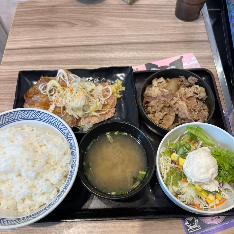 牛皿、豚ロース生姜定食　ポテトサラダ(吉野家 尾久橋通り舎人店)