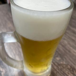 ビール(焼肉ここから 大泉学園駅前)