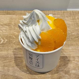 ミカンのアイス(アイスは別腹 渋谷店)
