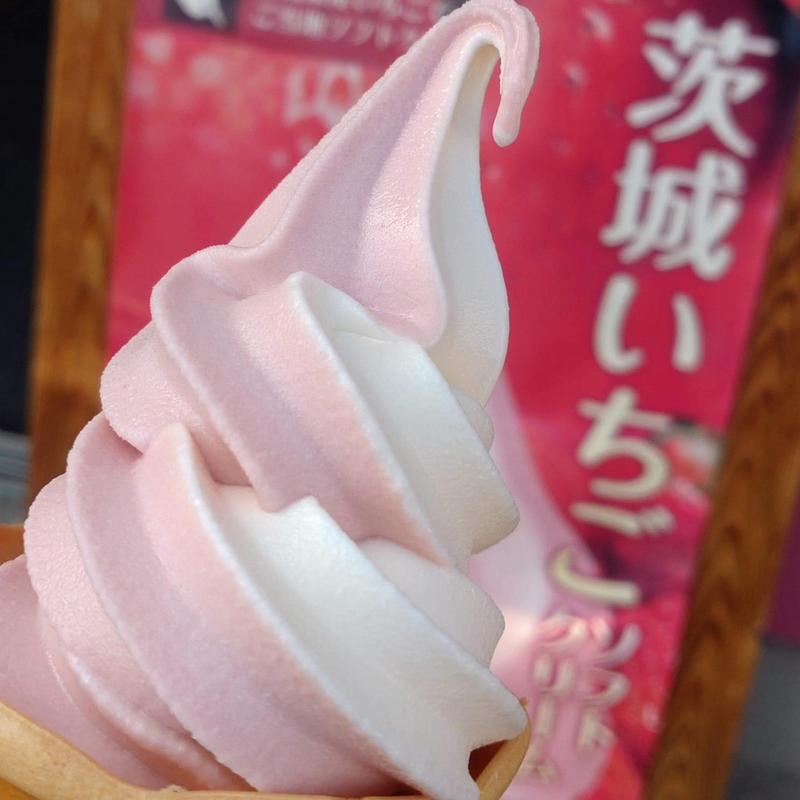 茨城いちごソフトクリーム(道の駅 日立おさかなセンター )